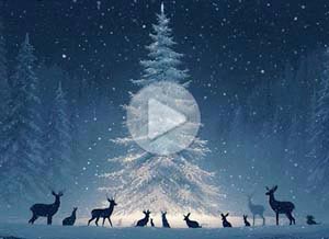 Tarjeta animada de Natal. Paz, alegria e magia	