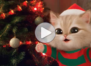 Tarjeta animada de Natal. Natal felino